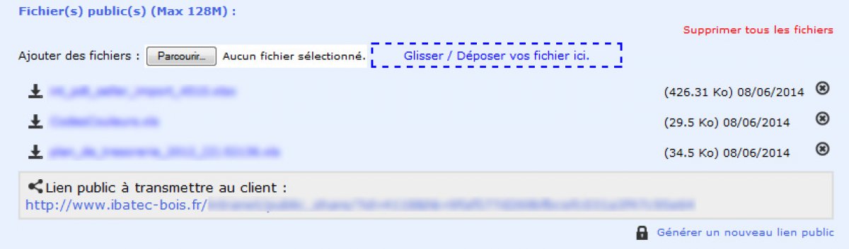 Interface de l'intranet pour enregistrer les fichiers publics Interface de l'intranet pour enregistrer les fichiers publics